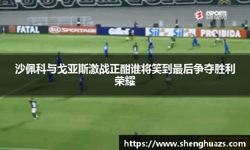 zoty中欧官方app下载