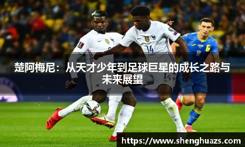 zoty中欧官方app下载