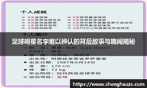 zoty中欧