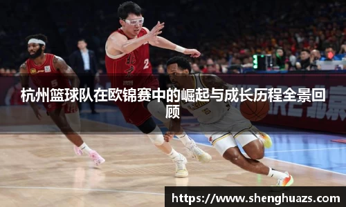 zoty中欧