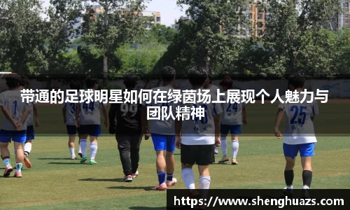 zoty中欧